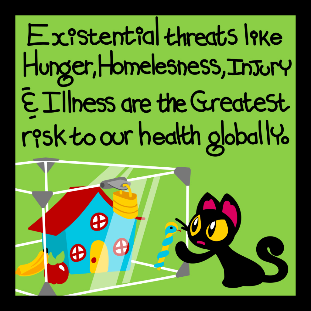 Existential threats like hunger, homelessness, injury and illness are the greatest risk to our health globally.